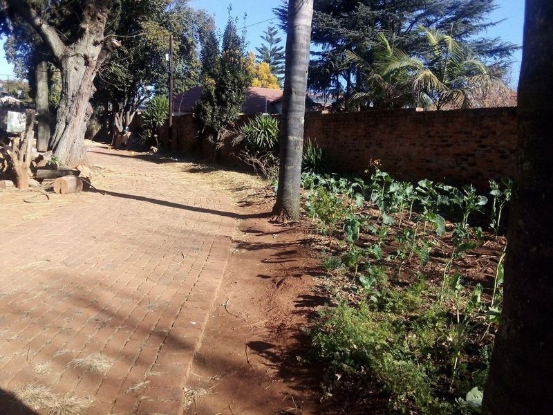 Huge stand, in the upmarket suburb of Bedford View on the Busy and Famous road Van Buuren Road. - Photo 3