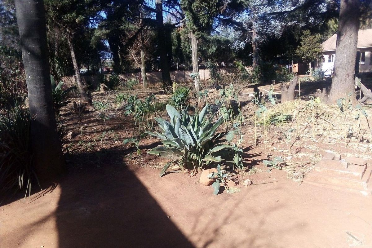 Huge stand, in the upmarket suburb of Bedford View on the Busy and Famous road Van Buuren Road. - Photo 2