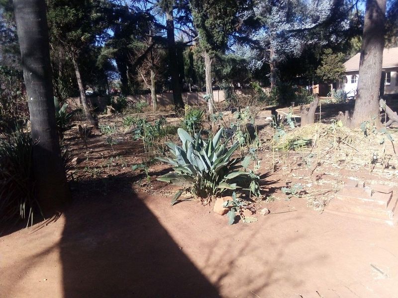 Huge stand, in the upmarket suburb of Bedford View on the Busy and Famous road Van Buuren Road. - Photo 2