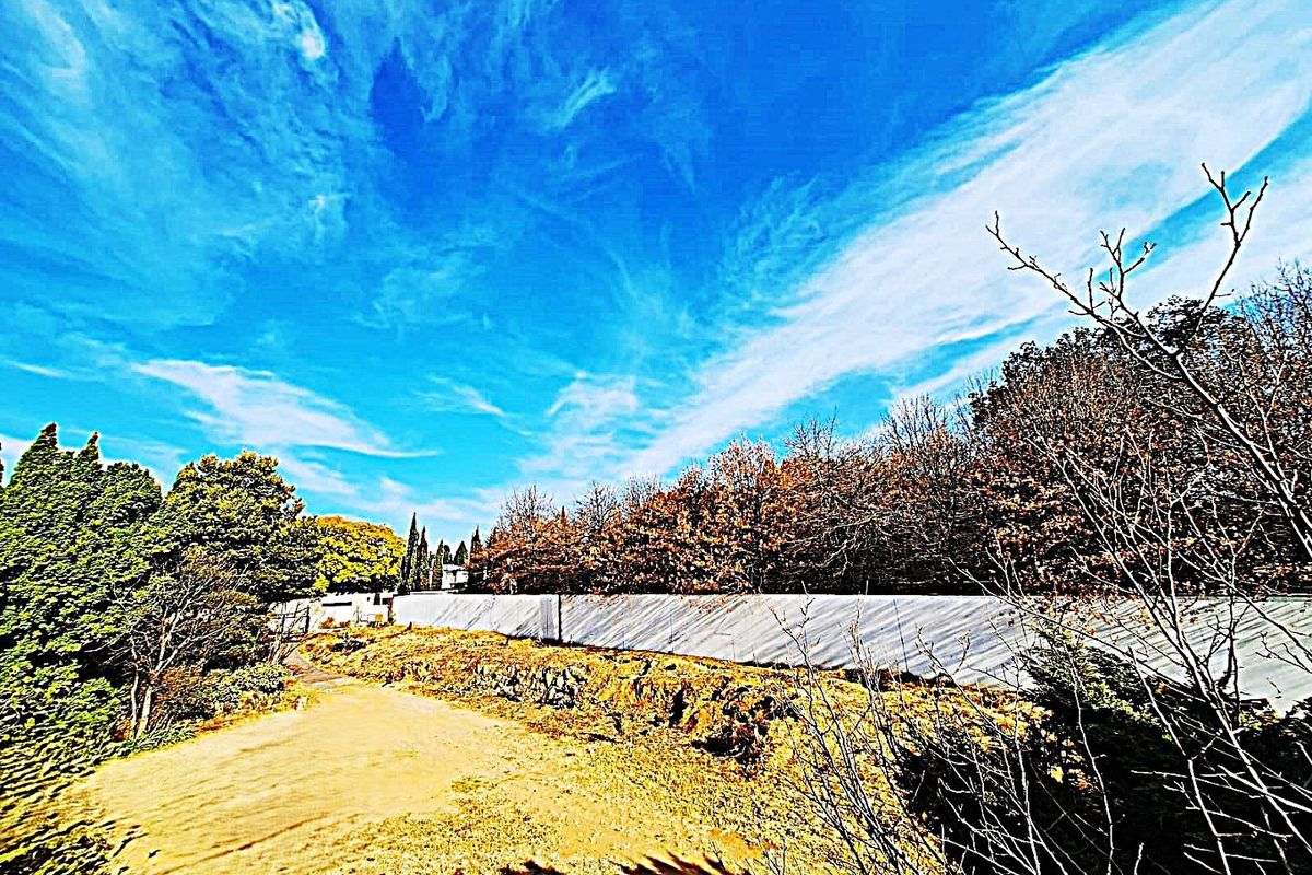 Prime Vacant land for sale in Sandhurst  - Photo 4