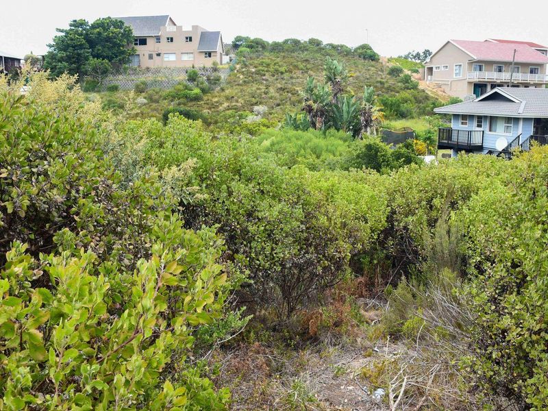 A view of a sloped, undeveloped residential plot covered in dense native vegetation, situated within a developed neighborhood.