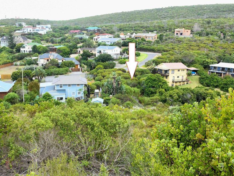 An elevated aerial view of a residential plot covered in dense indigenous vegetation, situated within a developed coastal or hillside neighborhood.