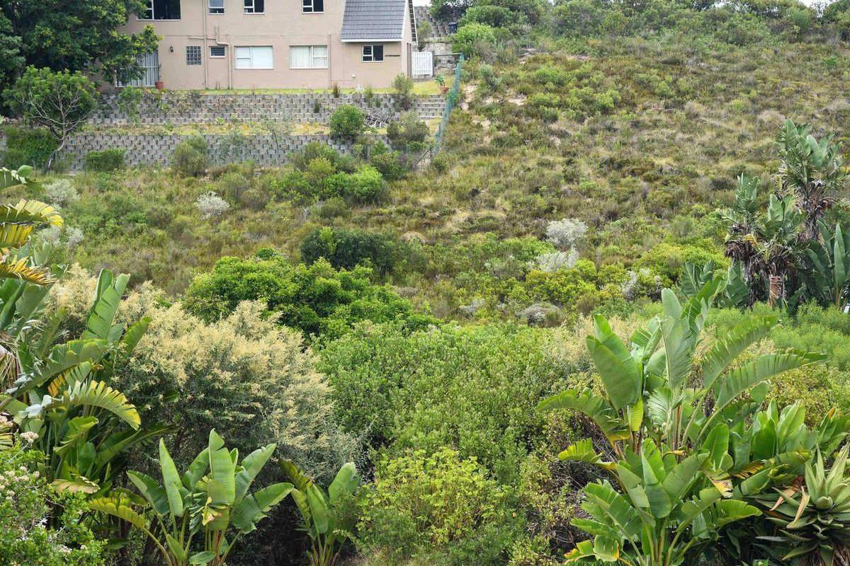 A view of a sloped residential plot featuring established vegetation, terraced retaining walls, and adjacent property structures.