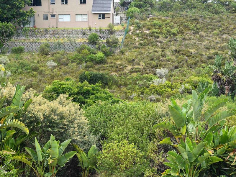 A view of a sloped residential plot featuring established vegetation, terraced retaining walls, and adjacent property structures.
