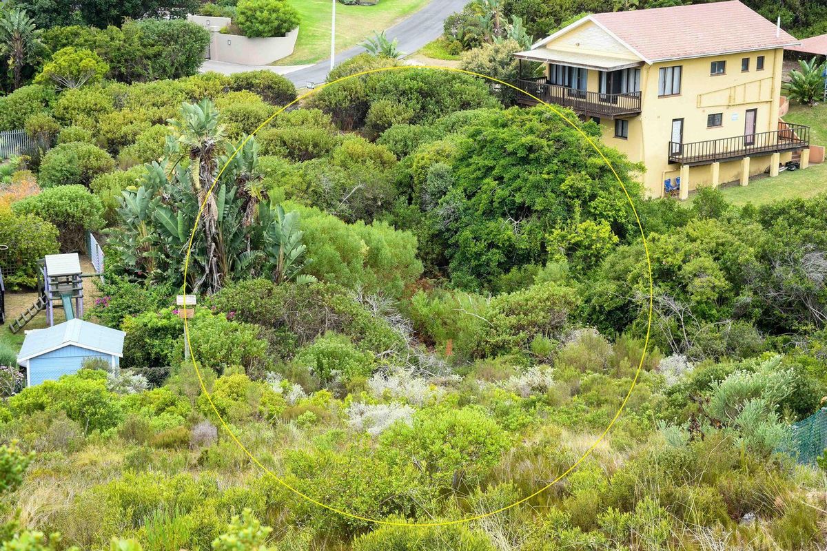 An aerial view of a vacant residential plot featuring dense natural vegetation and sloped terrain, situated in a suburban neighborhood.