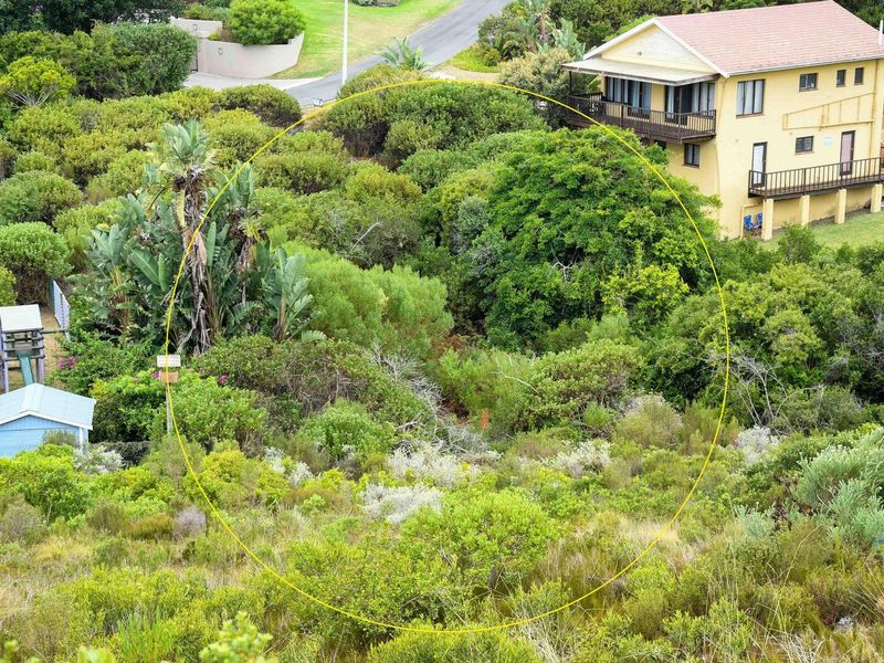 An aerial view of a vacant residential plot featuring dense natural vegetation and sloped terrain, situated in a suburban neighborhood.