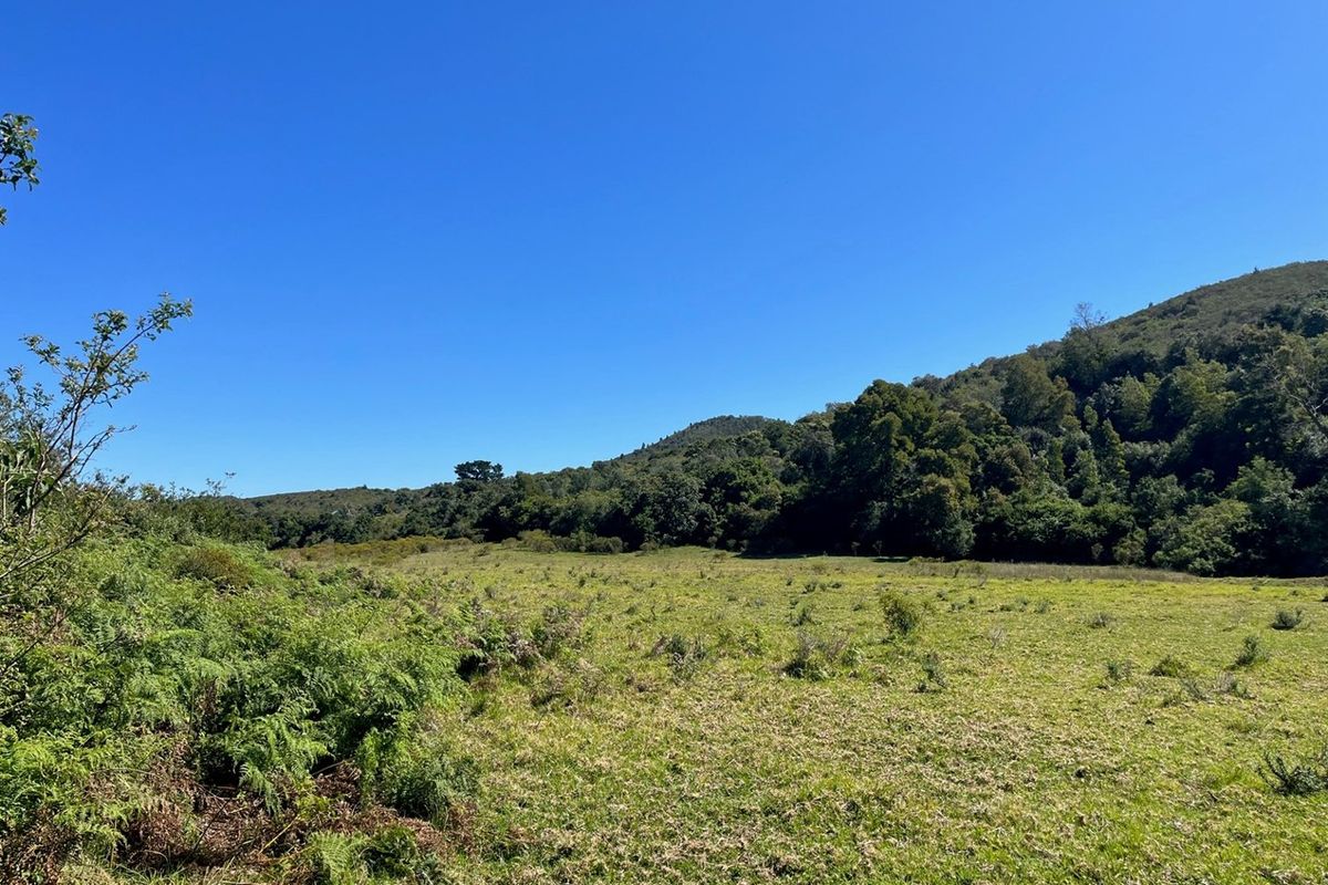 On the Banks of the Bitou River - Photo 4