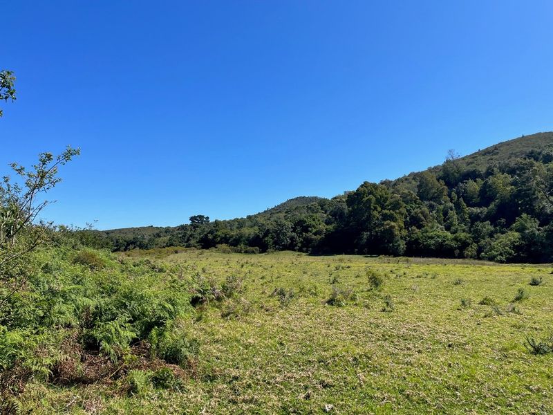 On the Banks of the Bitou River - Photo 4