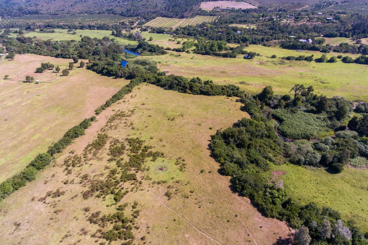 On the Banks of the Bitou River - Photo 2