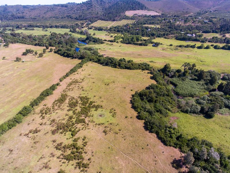 On the Banks of the Bitou River - Photo 2