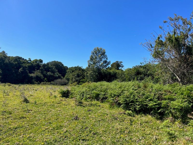 On the Banks of the Bitou River - Photo 10