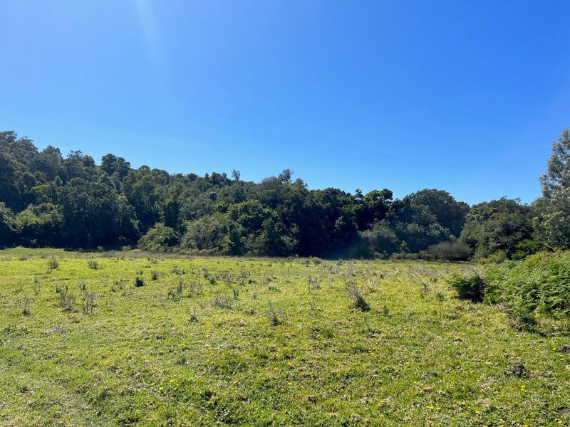 On the Banks of the Bitou River - Photo 9