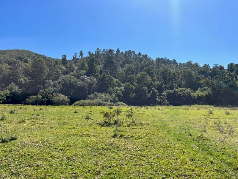 On the Banks of the Bitou River - Photo 8