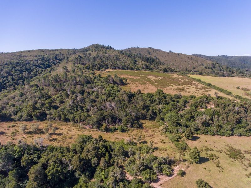 On the Banks of the Bitou River - Photo 7