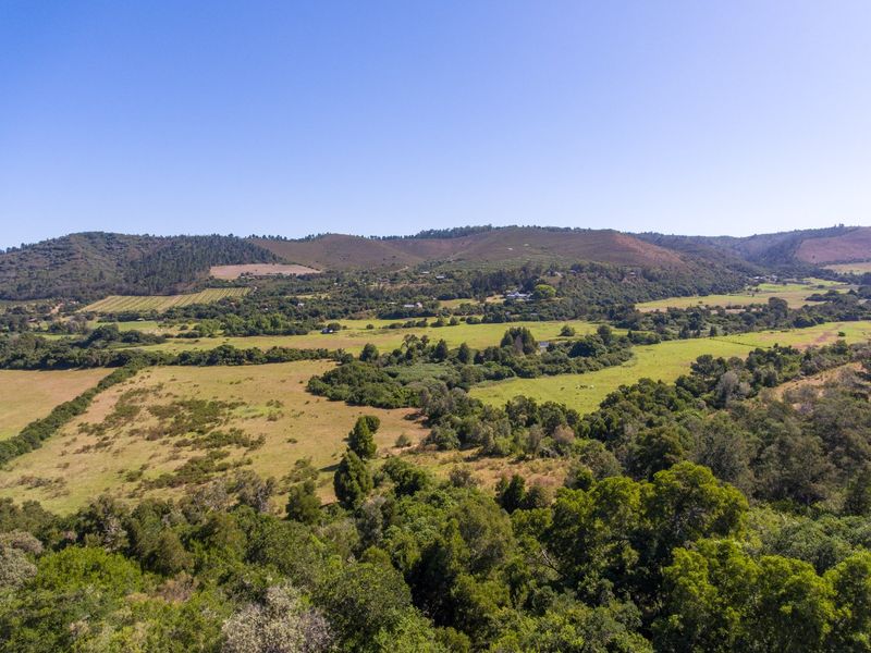 On the Banks of the Bitou River - Photo 6