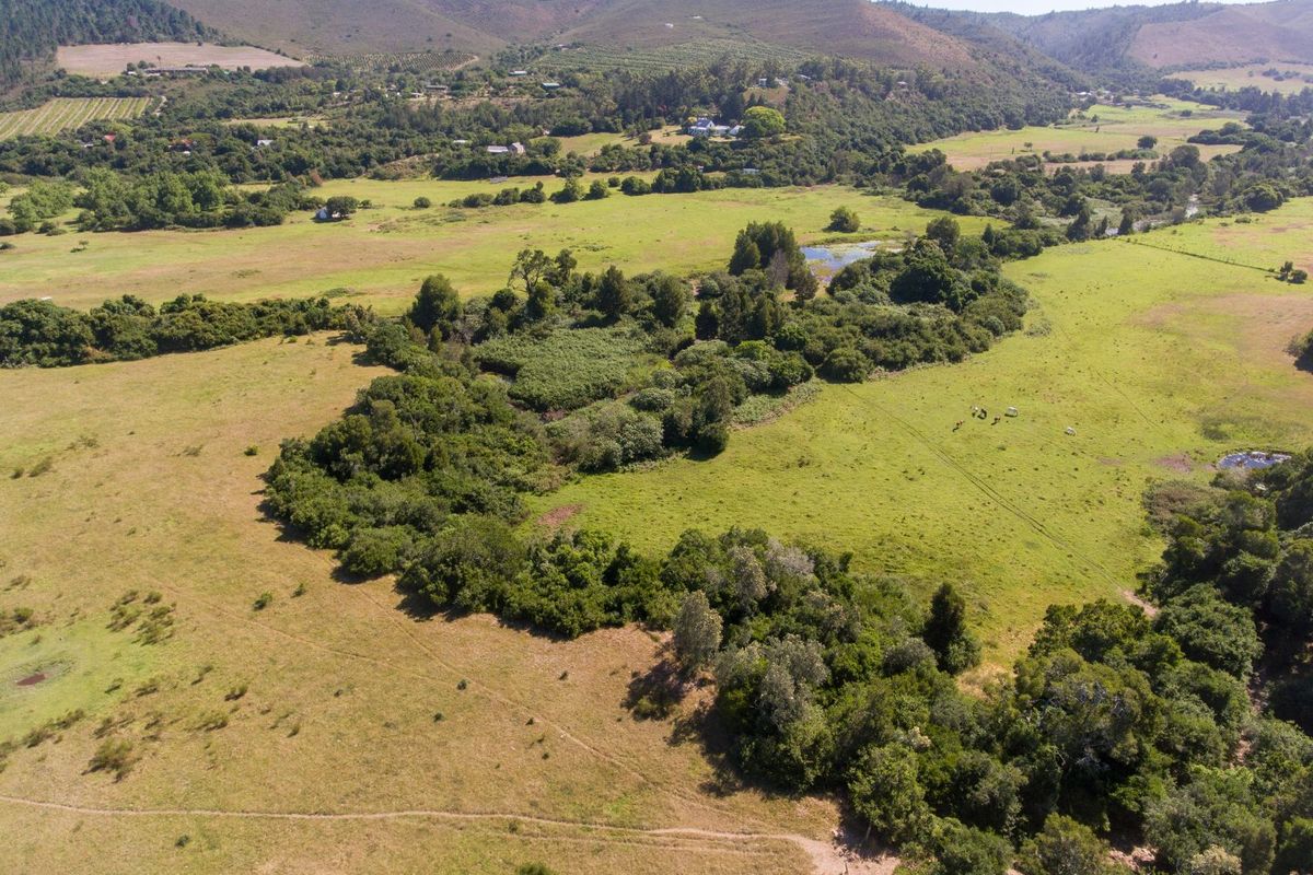 On the Banks of the Bitou River - Photo 5