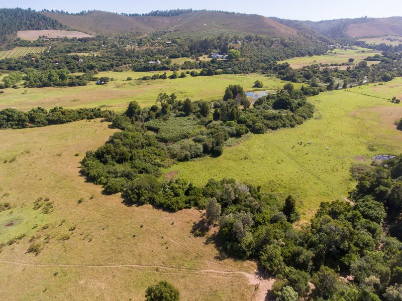 On the Banks of the Bitou River - Photo 5