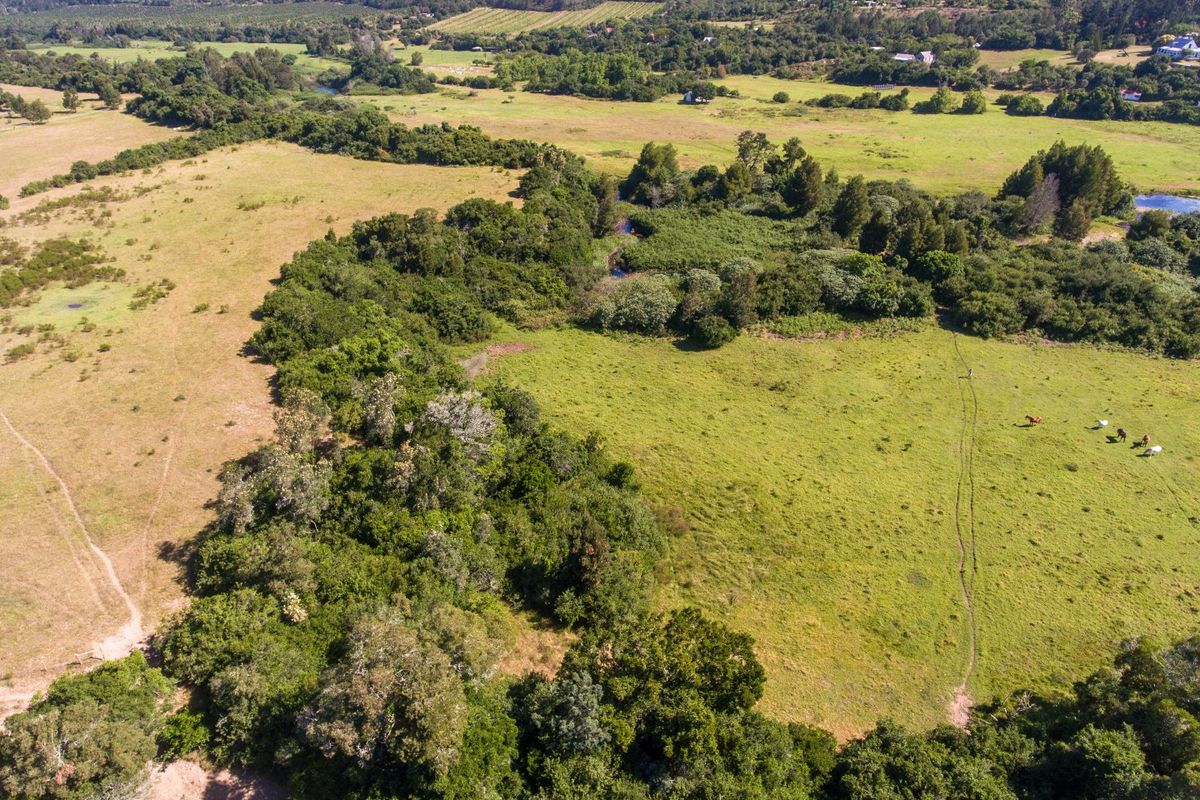 On the Banks of the Bitou River - Photo 3