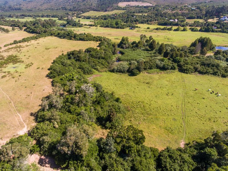 On the Banks of the Bitou River - Photo 3