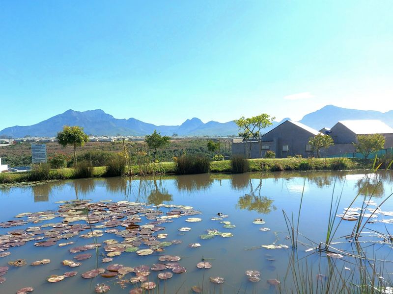 Vacant Land in Welgelegen Estate - Photo 8