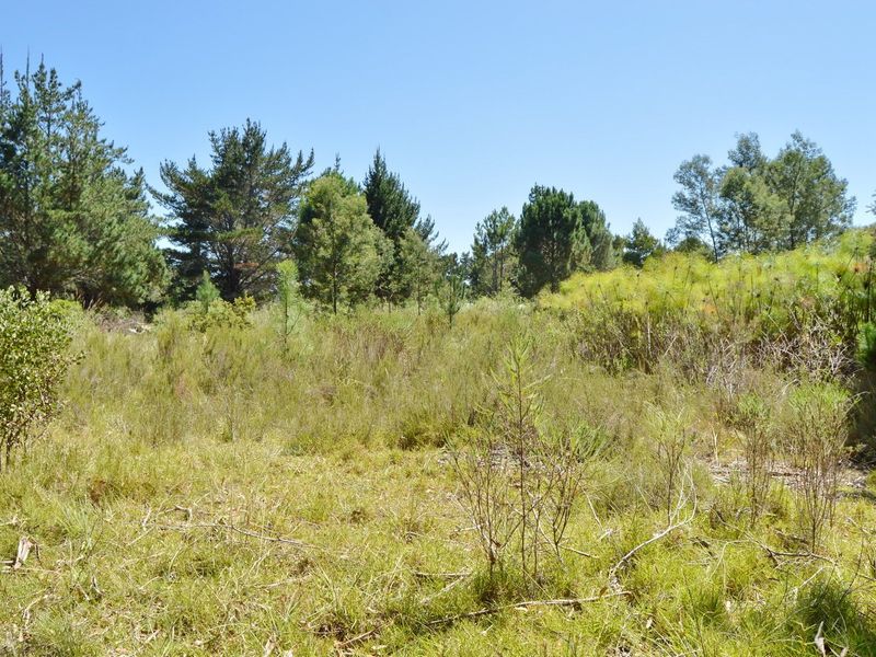 Neat and convenient. - Photo 10