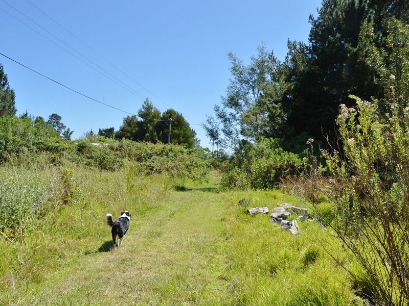 Neat and convenient. - Photo 6