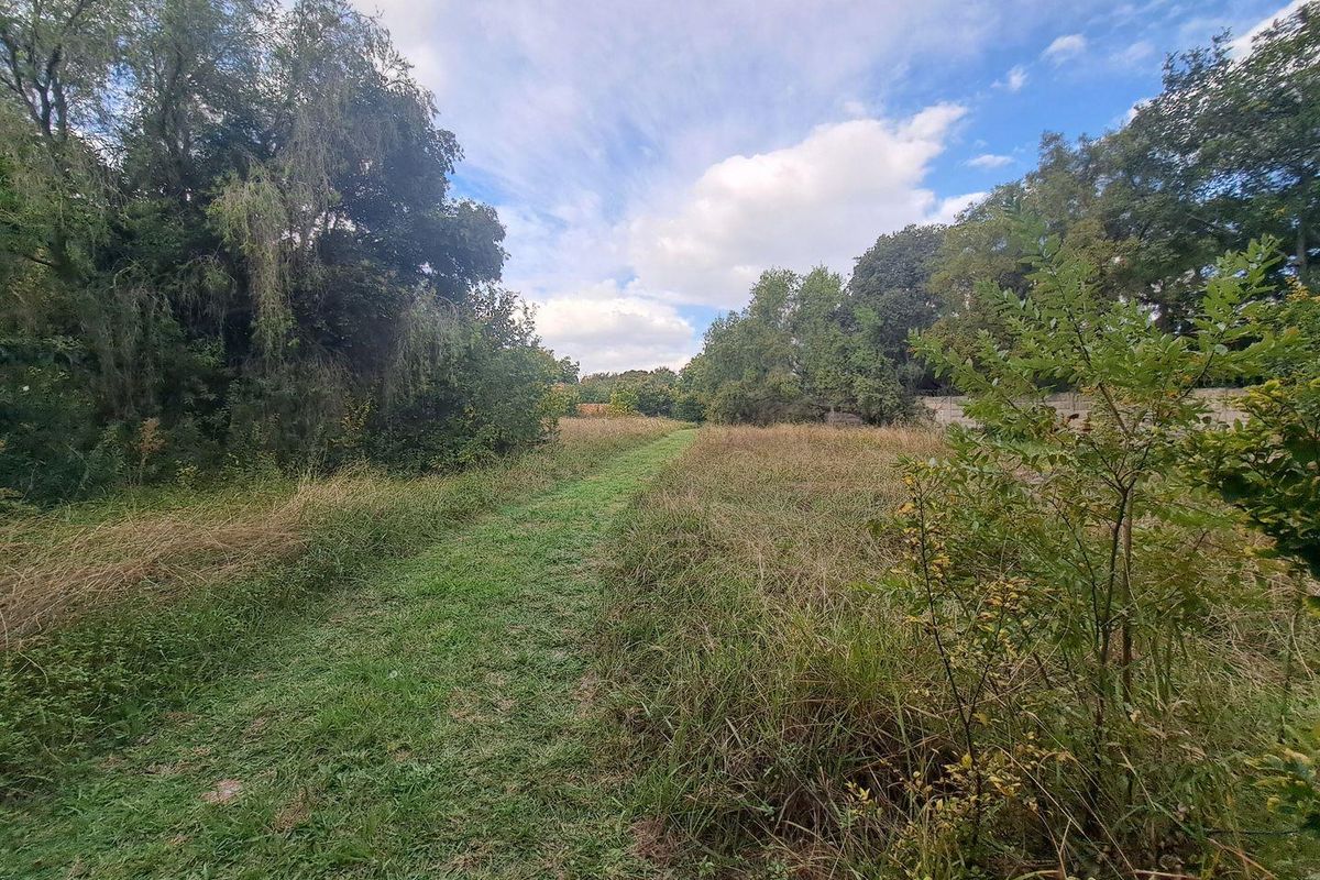 A view of a large, undeveloped residential plot featuring mature trees and a boundary wall, offering a natural and spacious setting.
