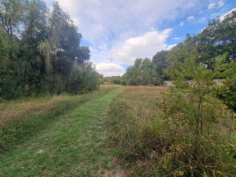 A view of a large, undeveloped residential plot featuring mature trees and a boundary wall, offering a natural and spacious setting.