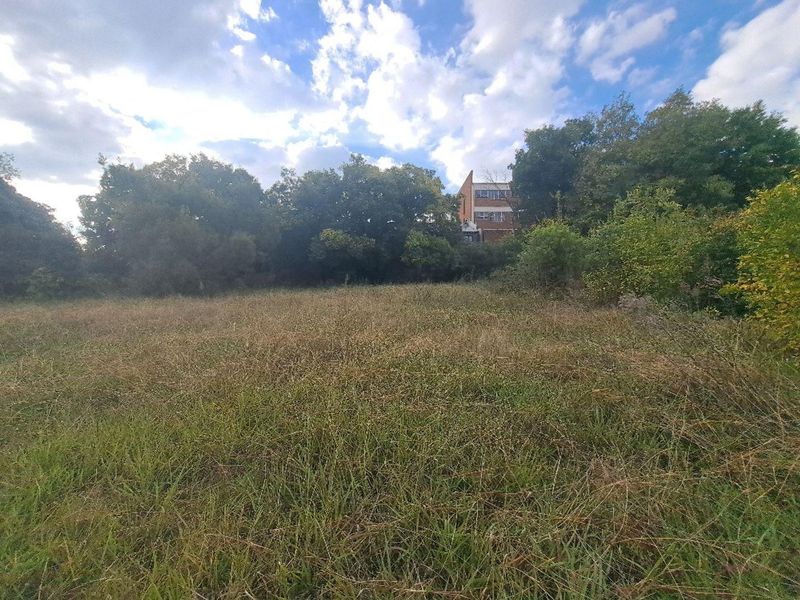 A view of a vacant residential plot featuring overgrown grass and mature trees, with a neighboring building visible in the background.