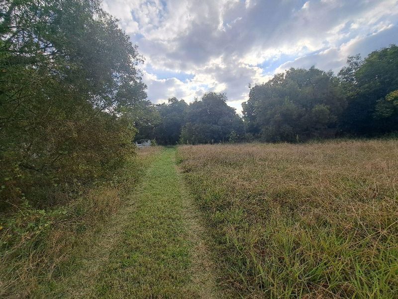 A view of a vacant residential plot featuring natural grassland and mature trees, offering a quiet and private setting.