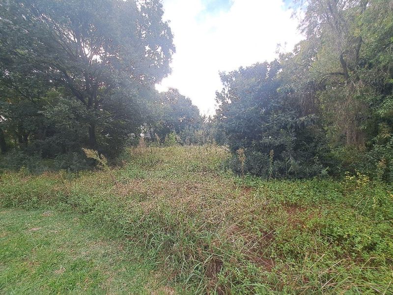 A view of a vacant residential plot featuring mature trees and dense natural vegetation.
