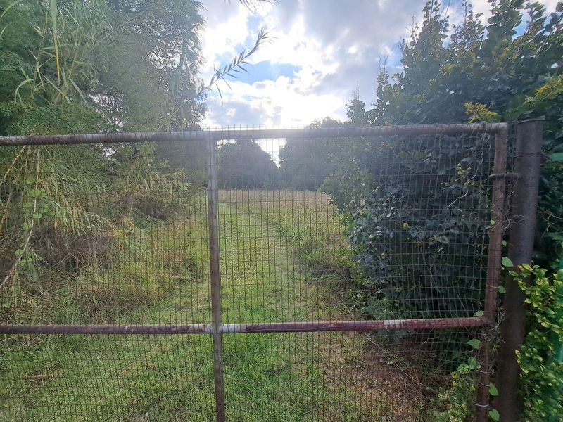 A view of a vacant residential plot through a weathered wire mesh gate, showing overgrown vegetation and natural landscape.