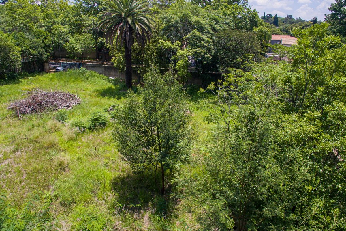 PRIME LAND FOR SALE IN THE HEART OF SENDERWOOD - Photo 4