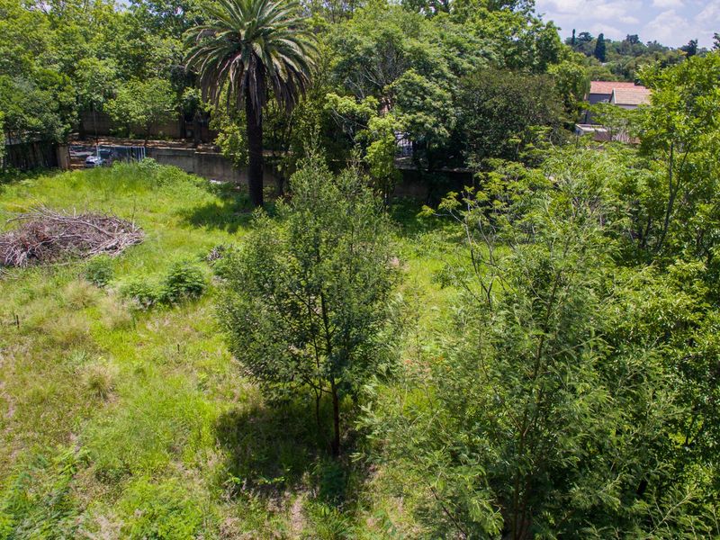 PRIME LAND FOR SALE IN THE HEART OF SENDERWOOD - Photo 4