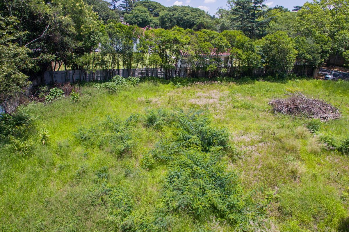PRIME LAND FOR SALE IN THE HEART OF SENDERWOOD - Photo 3