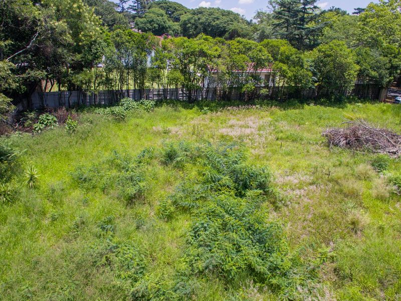 PRIME LAND FOR SALE IN THE HEART OF SENDERWOOD - Photo 3