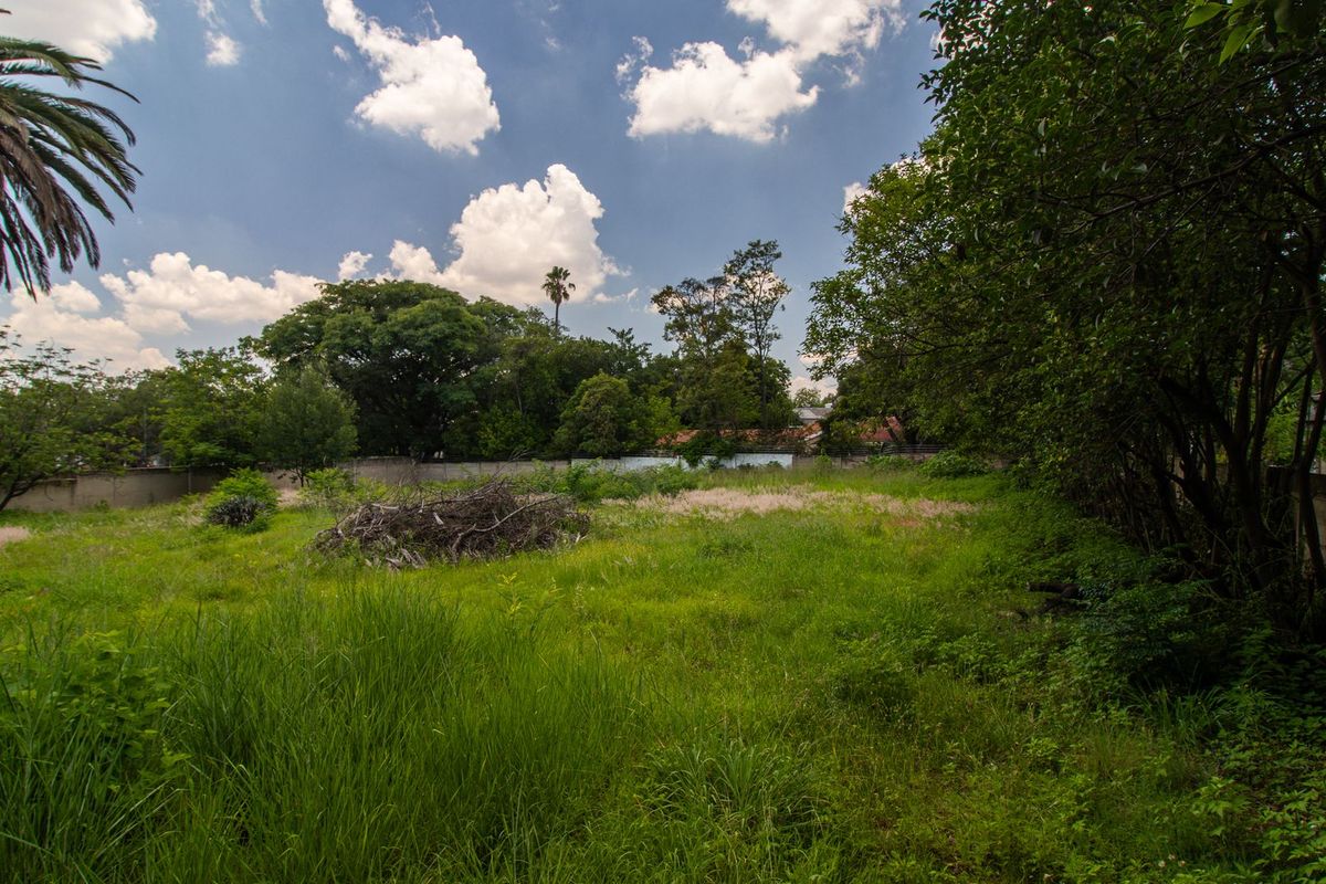 Prime 2000sqm Development Opportunity in Prestigious Senderwood - Photo 3