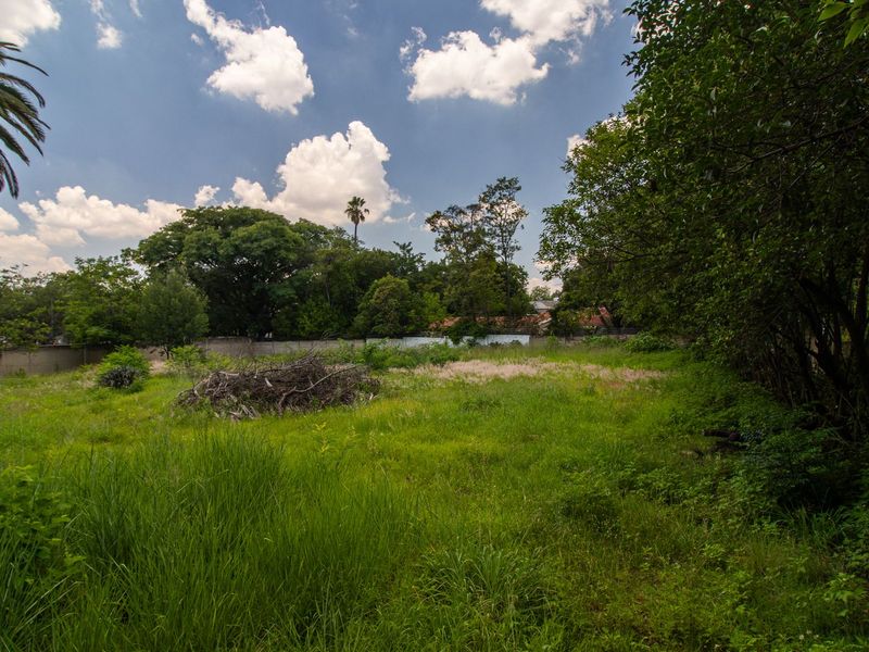 PRIME LAND FOR SALE IN THE HEART OF SENDERWOOD - Photo 8