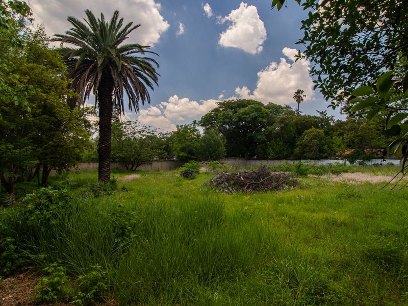 PRIME LAND FOR SALE IN THE HEART OF SENDERWOOD - Photo 10