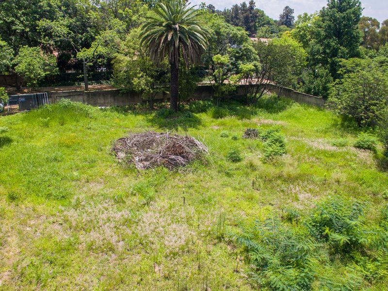 PRIME LAND FOR SALE IN THE HEART OF SENDERWOOD - Photo 7