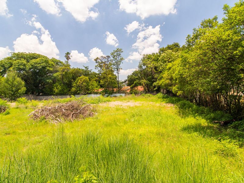 PRIME LAND FOR SALE IN THE HEART OF SENDERWOOD - Photo 9