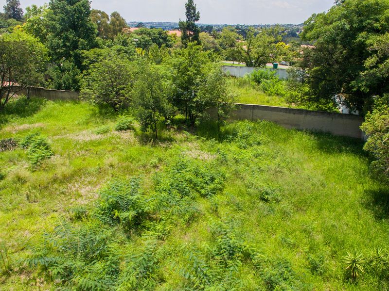 PRIME LAND FOR SALE IN THE HEART OF SENDERWOOD - Photo 6