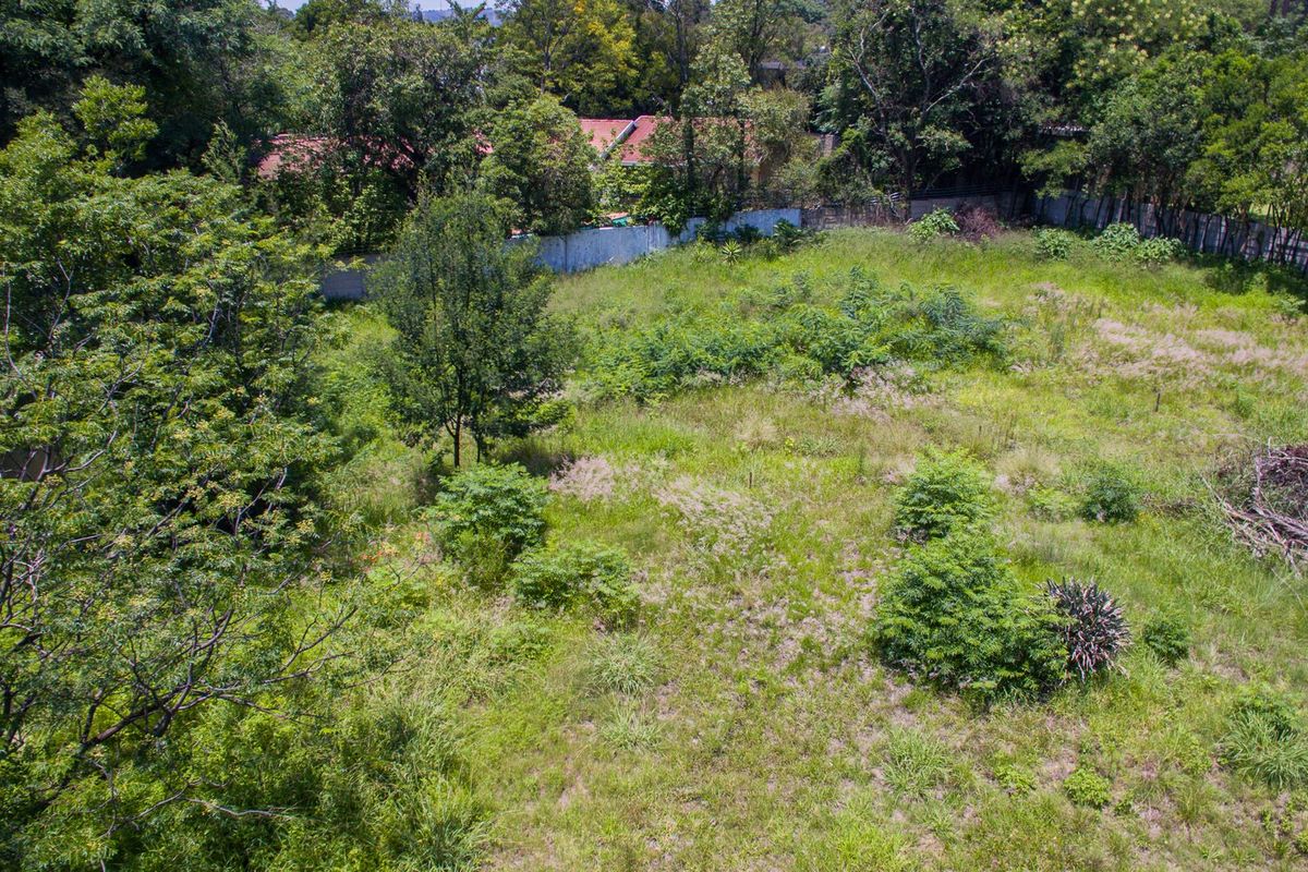 PRIME LAND FOR SALE IN THE HEART OF SENDERWOOD - Photo 2