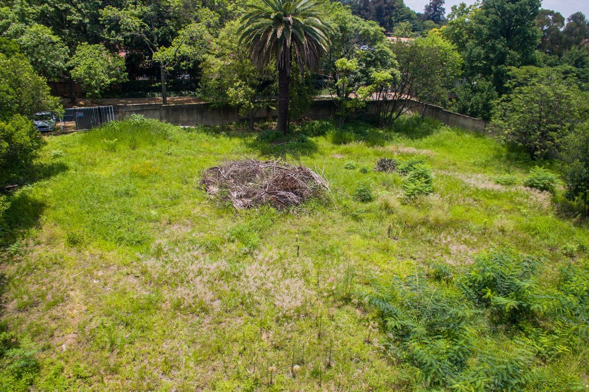 PRIME LAND FOR SALE IN THE HEART OF SENDERWOOD - Photo 5