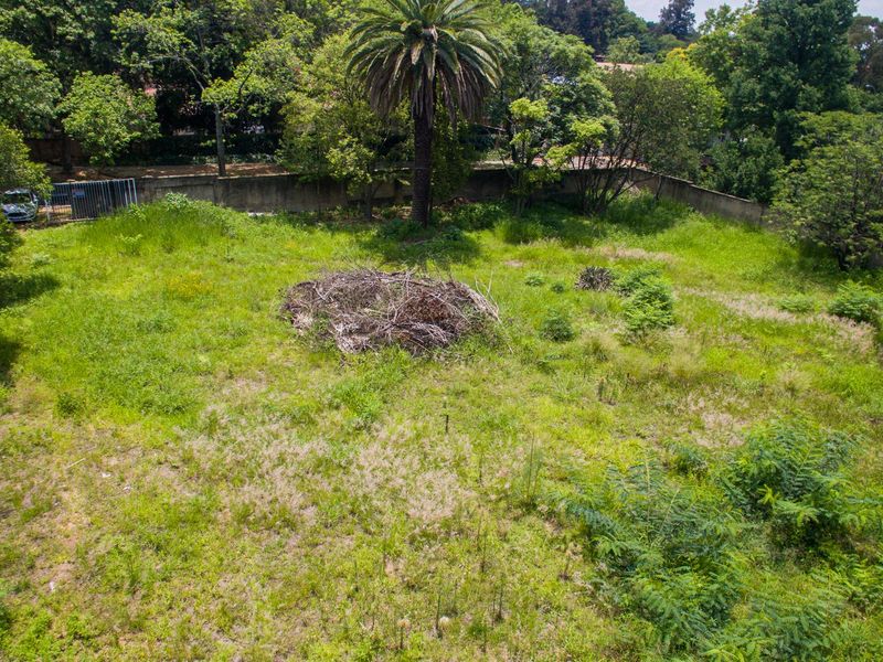 PRIME LAND FOR SALE IN THE HEART OF SENDERWOOD - Photo 5