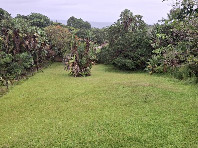 Prime Property In Southbroom!! Massive Price Reduction To Sell !! - Photo 6