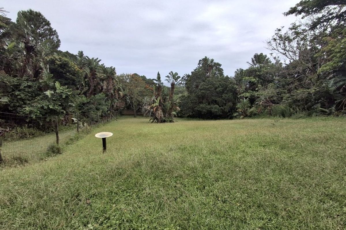 Prime Property In Southbroom!! Massive Price Reduction To Sell !! - Photo 4