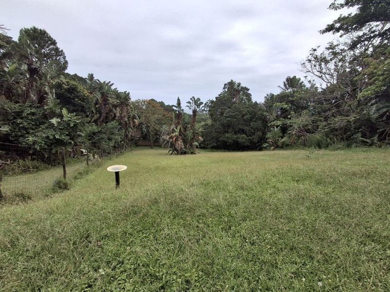 Prime Property In Southbroom!! Massive Price Reduction To Sell !! - Photo 4