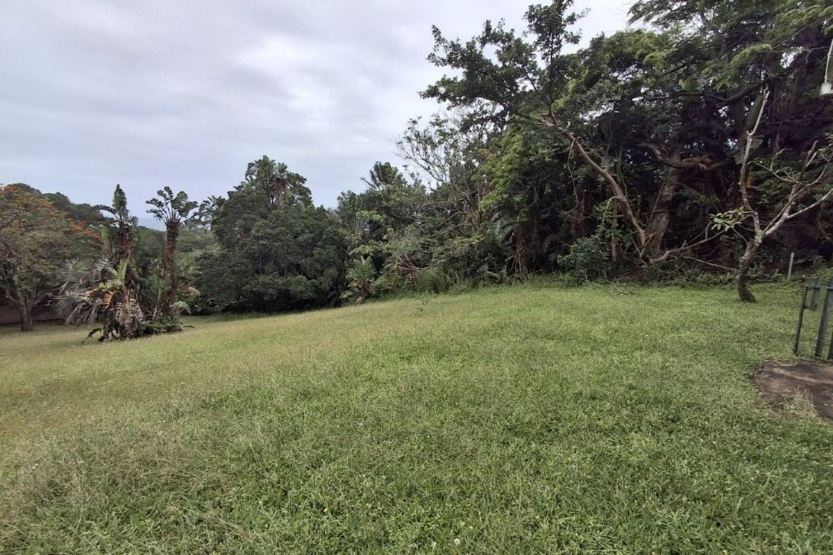 Prime Property In Southbroom!! Massive Price Reduction To Sell !! - Photo 5