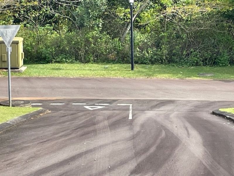 Priced Right To Sell !! - Photo 9